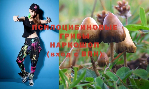 мдпв Балахна