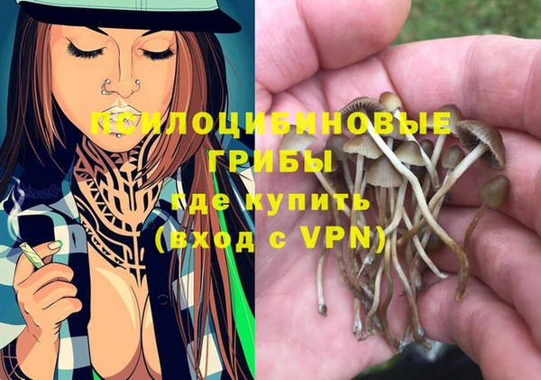 мдпв Балахна