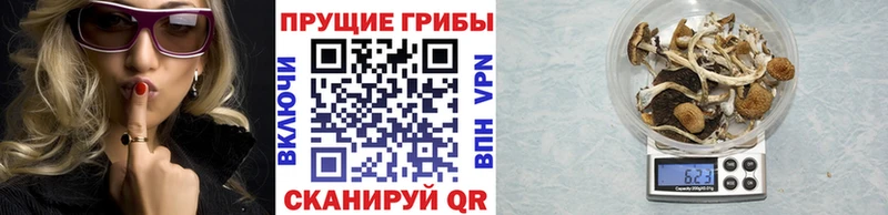 Галлюциногенные грибы мухоморы  хочу   Куртамыш 